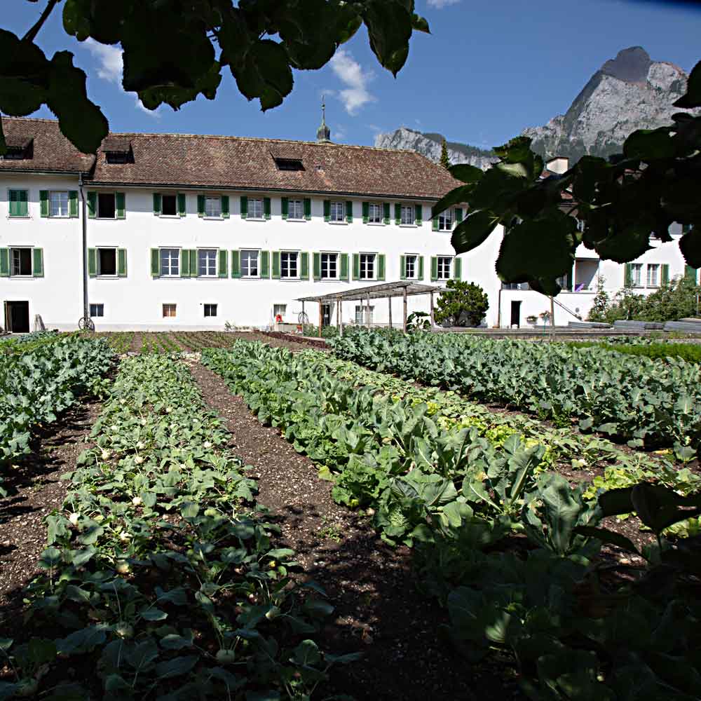 Geduld üben