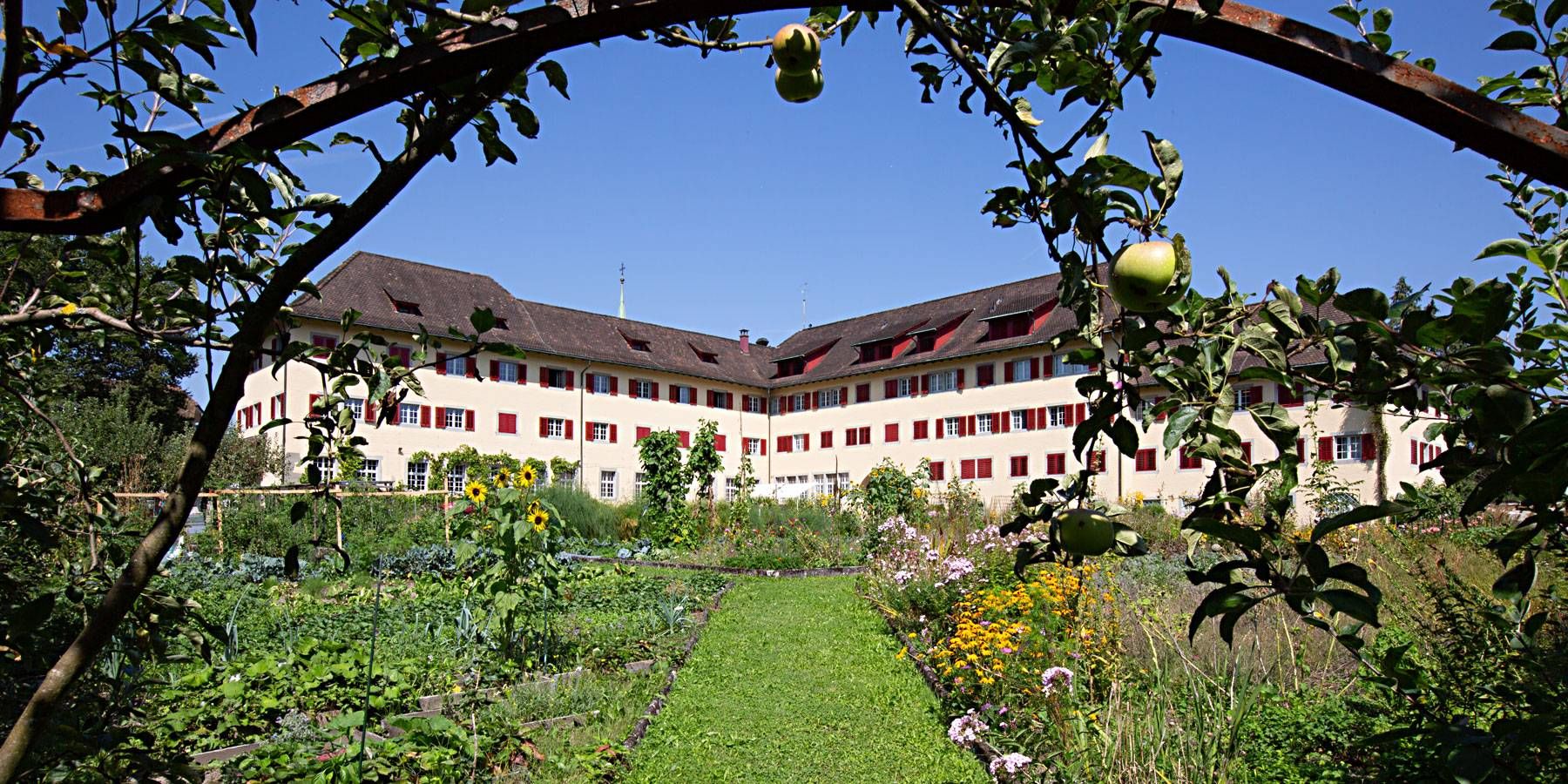 Mal Patient, mal Fachmann